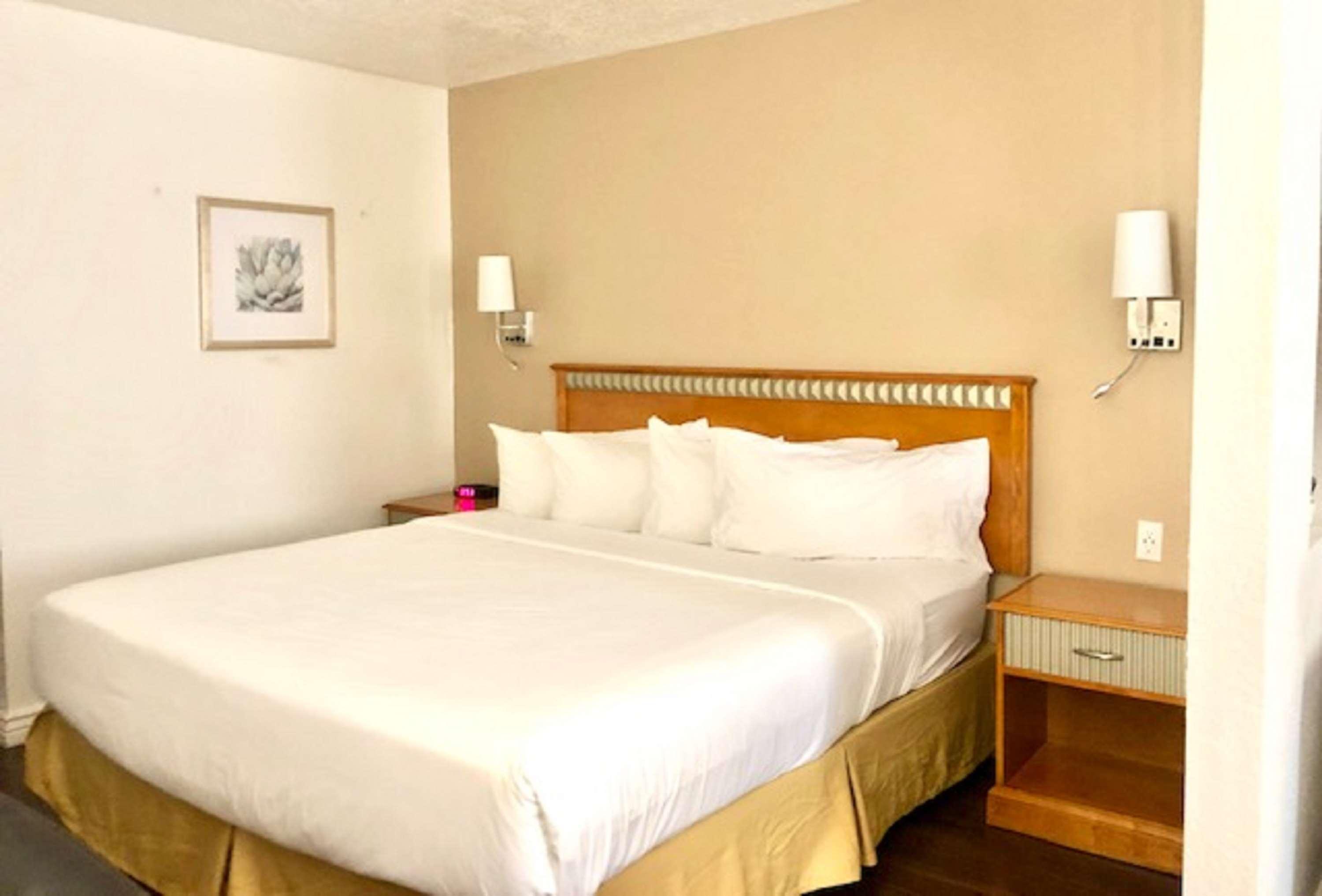 Surestay Plus Hotel By Best Western Albuquerque I-40 Eubank Exteriér fotografie